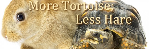 More Tortoise; Less Hare: